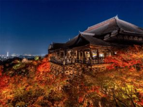 九畿岐风之旅最新消息官网：探索古都魅力，畅游优美风光，尽享独特文化体验
