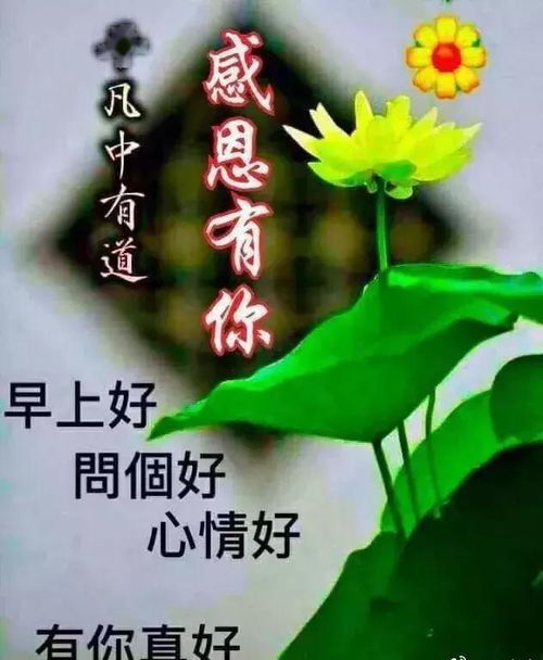 (早安我的少年1.10)早安我的少年十个小秘密：揭开青春岁月的神秘面纱
