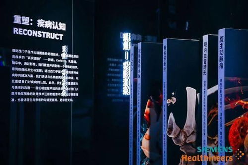 港澳vip三码内部精准推荐|系统解答解释落实_创新品.0.927