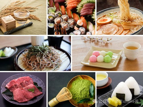 正版全年资料免费大全下载|探索世界各地的美食奇观_K型.5.829